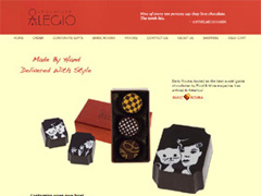 portfolio example